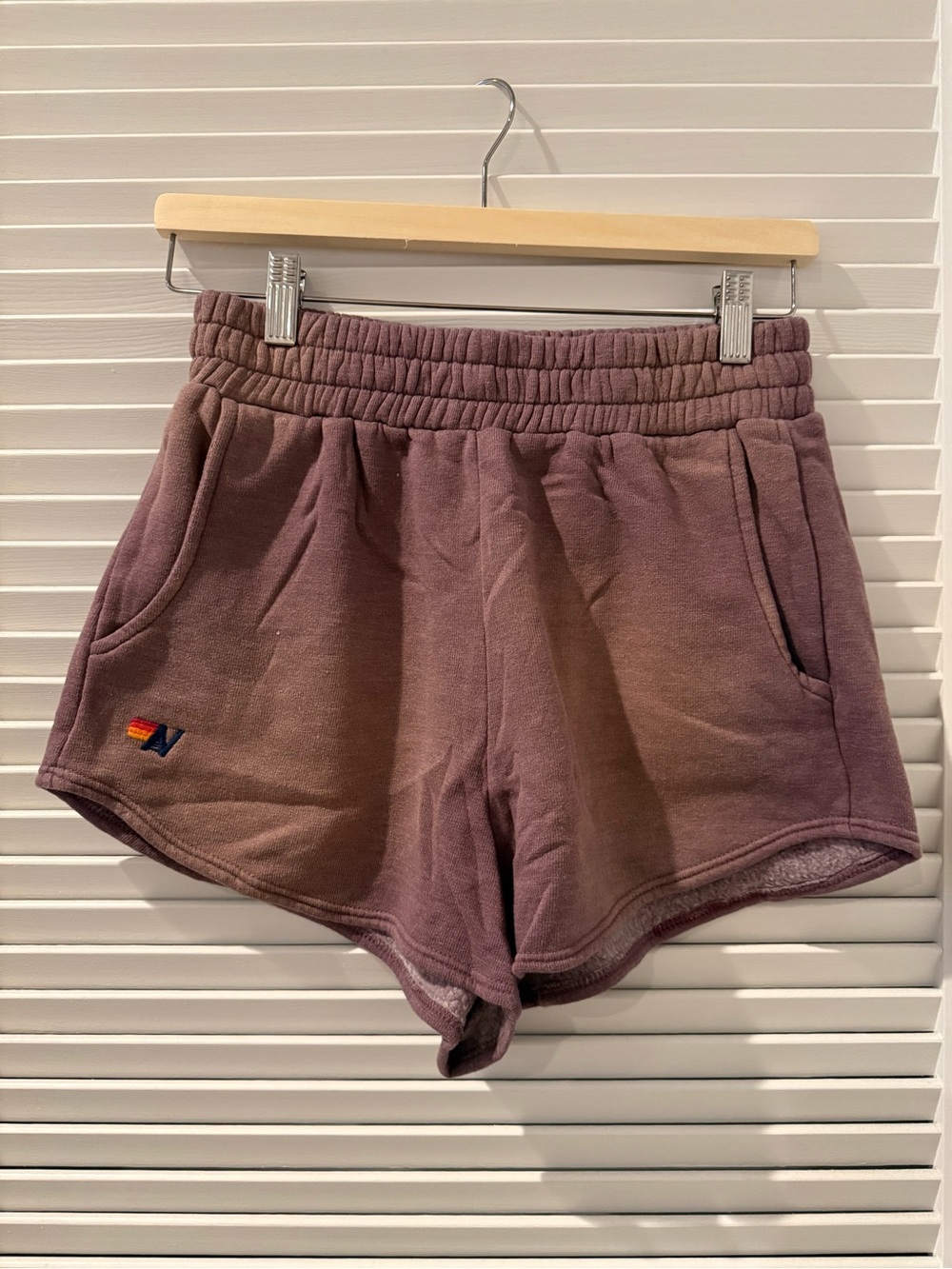 Aviator Nation Mauve Athletic Fleece Shorts